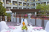 Areca Lodge Pattaya